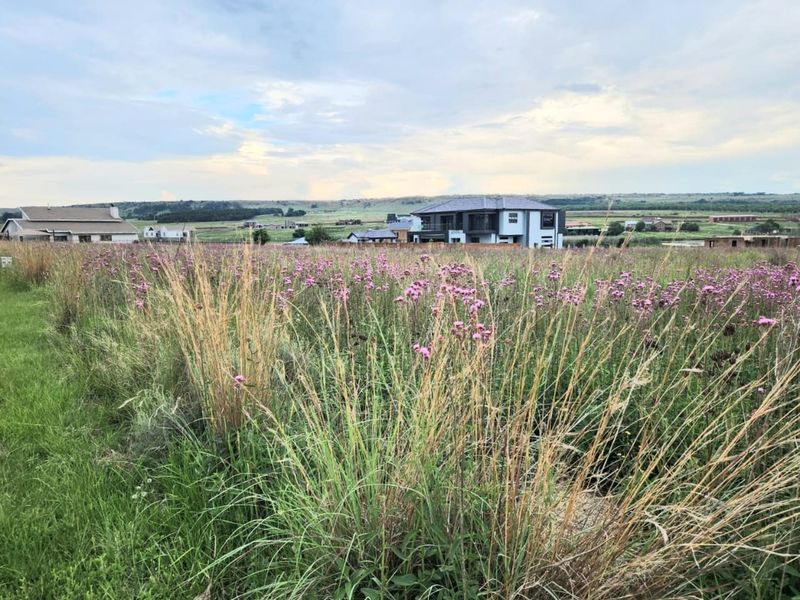 A view of an undeveloped residential plot featuring natural vegetation with surrounding neighborhood homes in the distance.