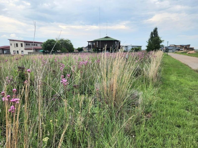 A view of a vacant residential plot featuring natural grassland vegetation with adjacent road access and surrounding neighborhood homes in the distance.
