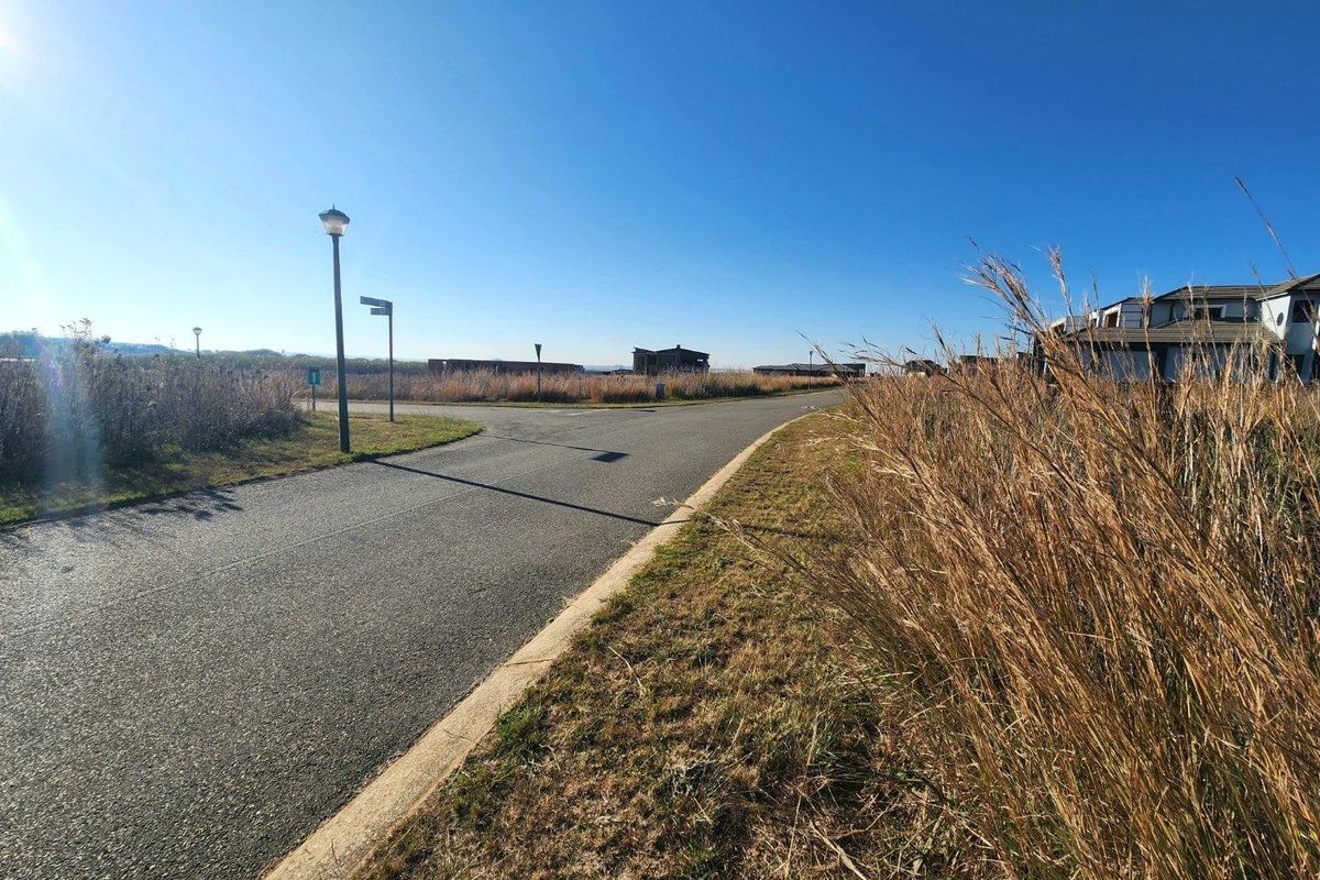 A view of the paved residential street and surrounding landscape within the estate.