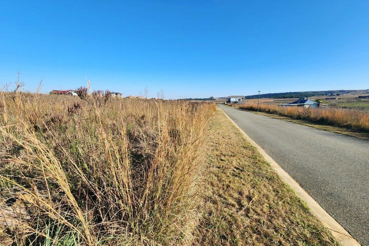 A view of the asphalt road and surrounding vacant residential land with natural grass vegetation.