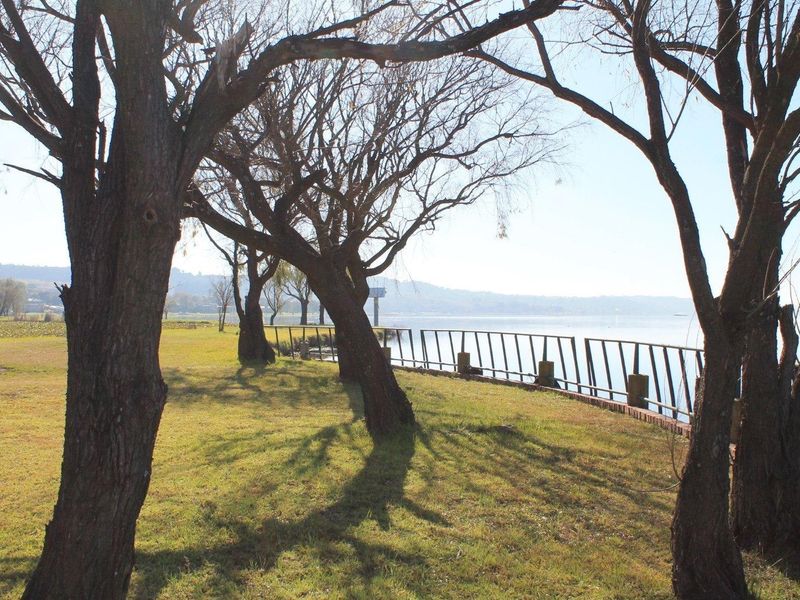 A scenic view of the waterfront featuring mature trees, a grassy bank, and a protective metal railing along the edge.