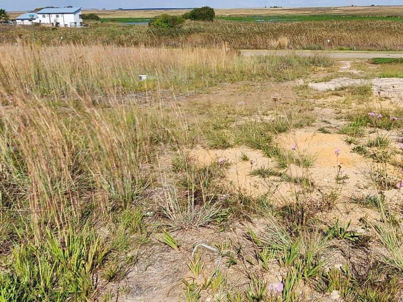 Vacant Land For Sale In Bronkhorstspruit - Photo 3