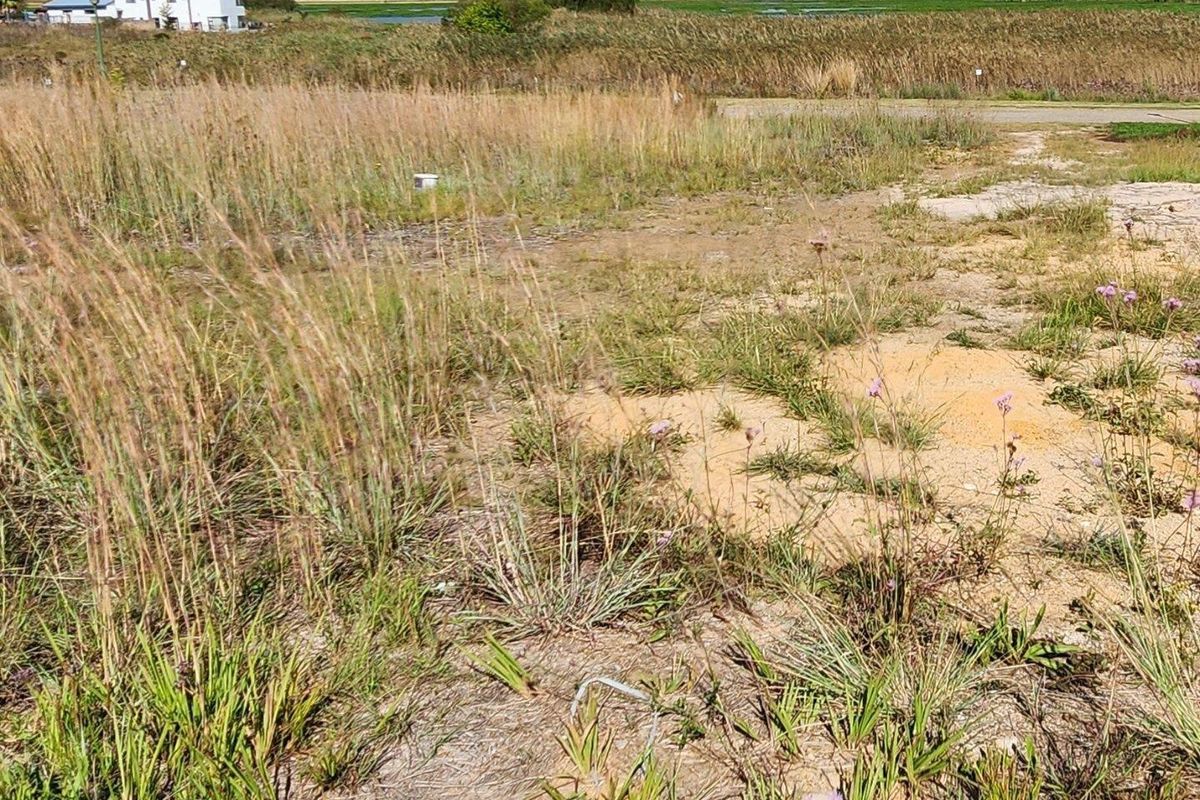 Vacant Land For Sale In Bronkhorstspruit - Photo 3