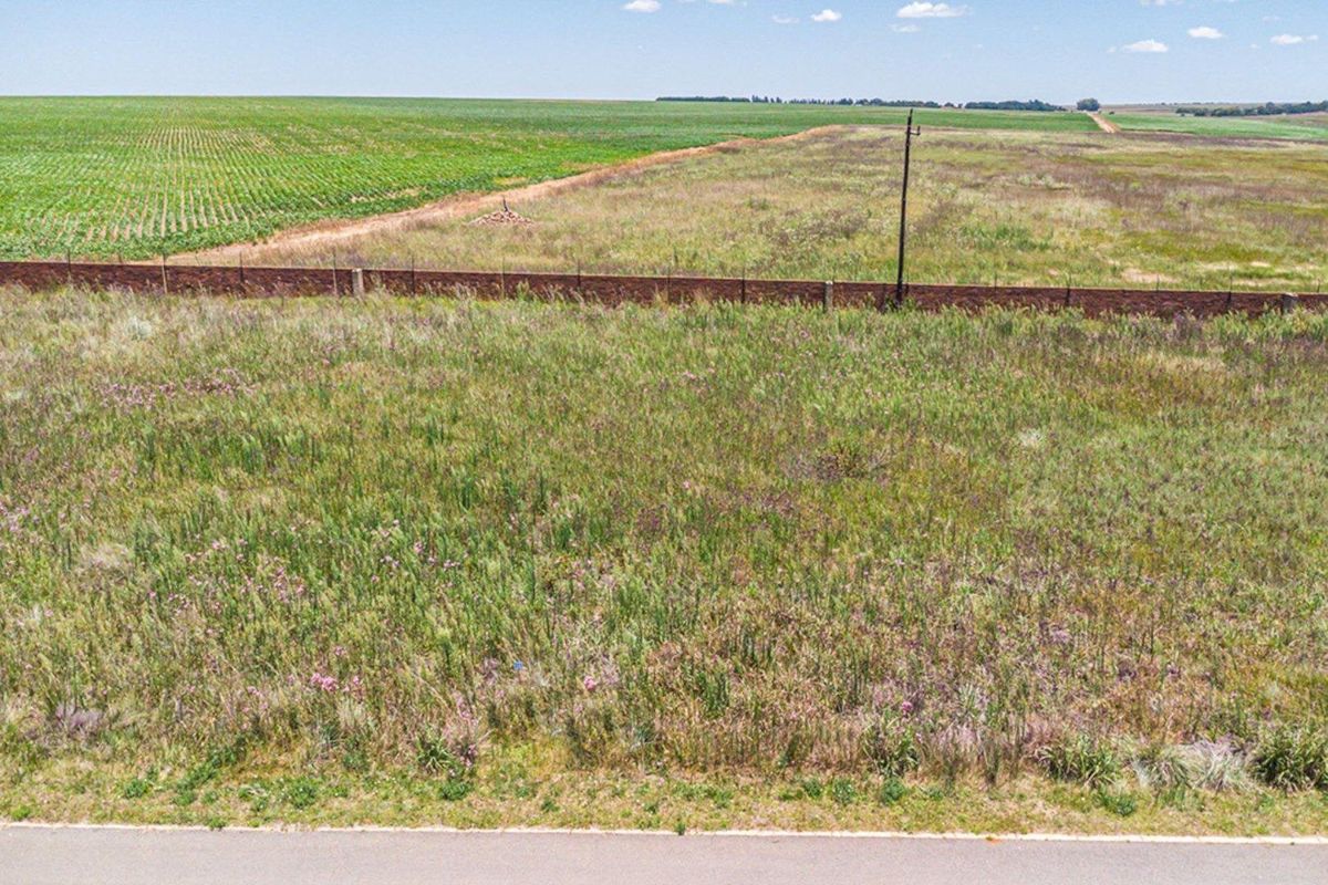 An aerial view of a vacant residential plot featuring natural vegetation, a brick boundary wall, and an existing utility pole.