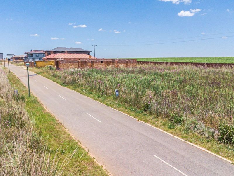 A view of the street frontage showing an undeveloped residential plot with overgrown vegetation and adjacent boundary walling.
