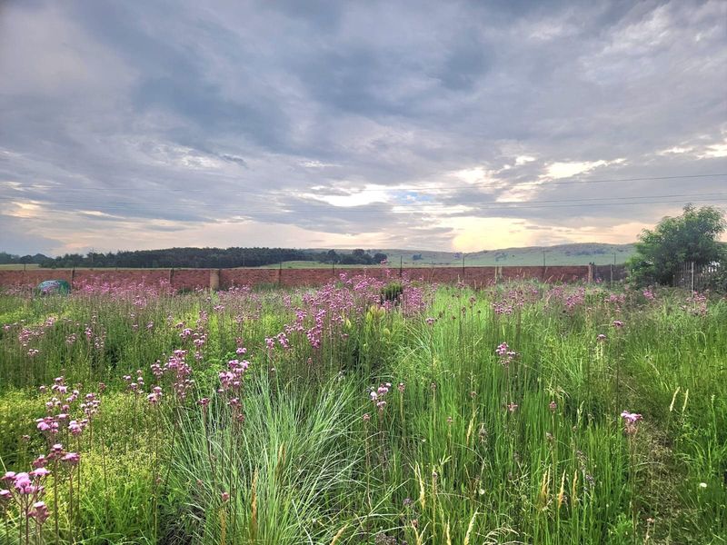 Vacant Land For Sale In Bronkhorstspruit - Photo 4