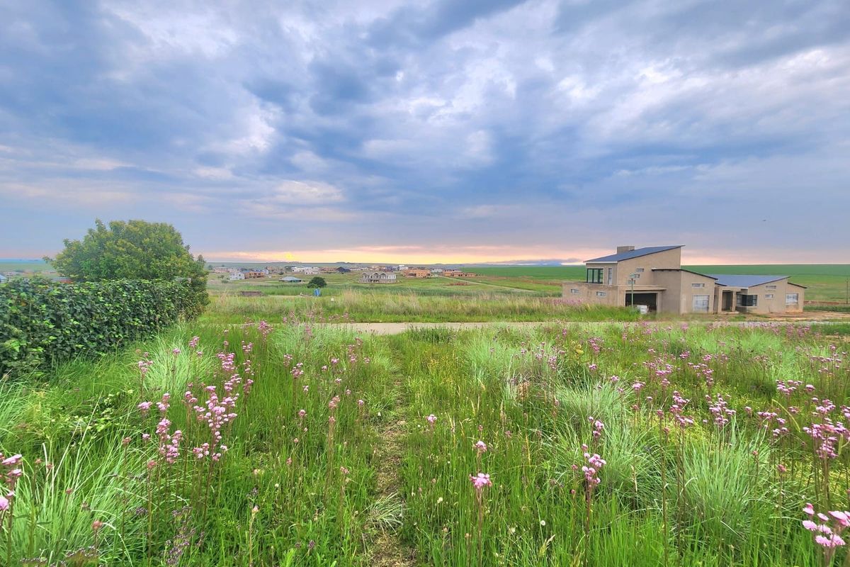 A scenic view of an open residential plot featuring natural vegetation with surrounding neighborhood development in the distance.