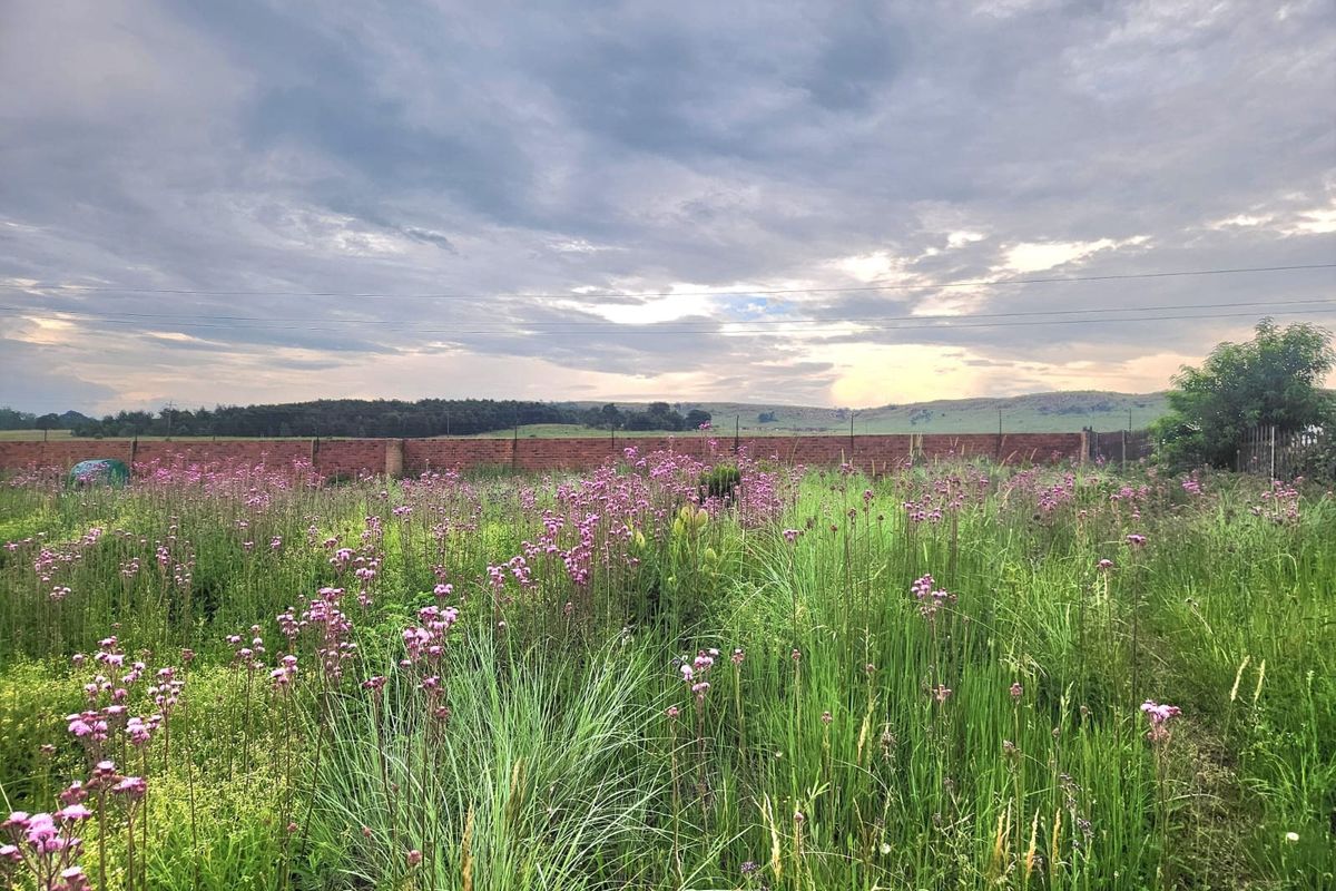 A view of a vacant residential plot featuring natural vegetation, tall grasses, and a perimeter brick wall under a cloudy sky.