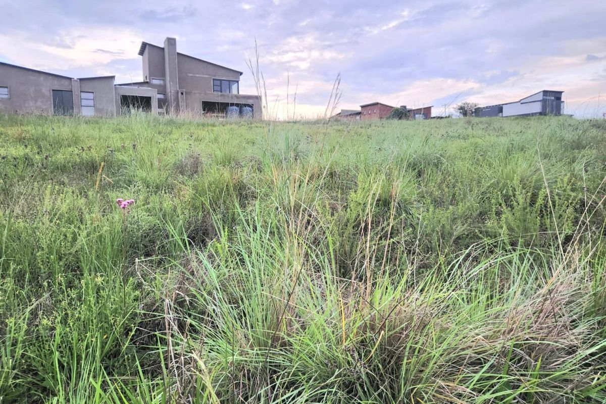 A view of an undeveloped residential plot featuring native grasses with neighboring properties visible in the background.