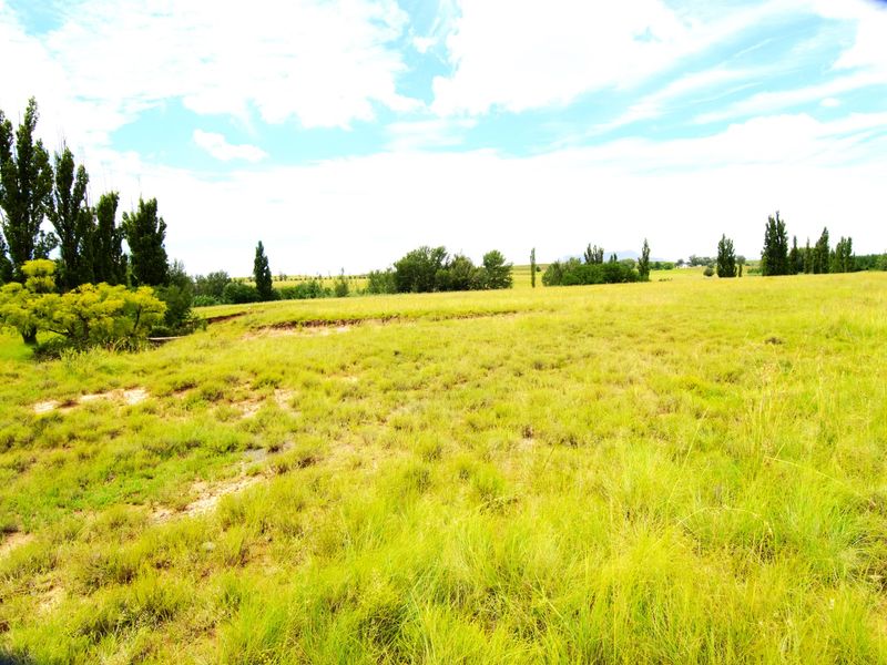 Expansive open farm land featuring natural pasture and mature trees, showcasing the rural landscape and open space of the property.