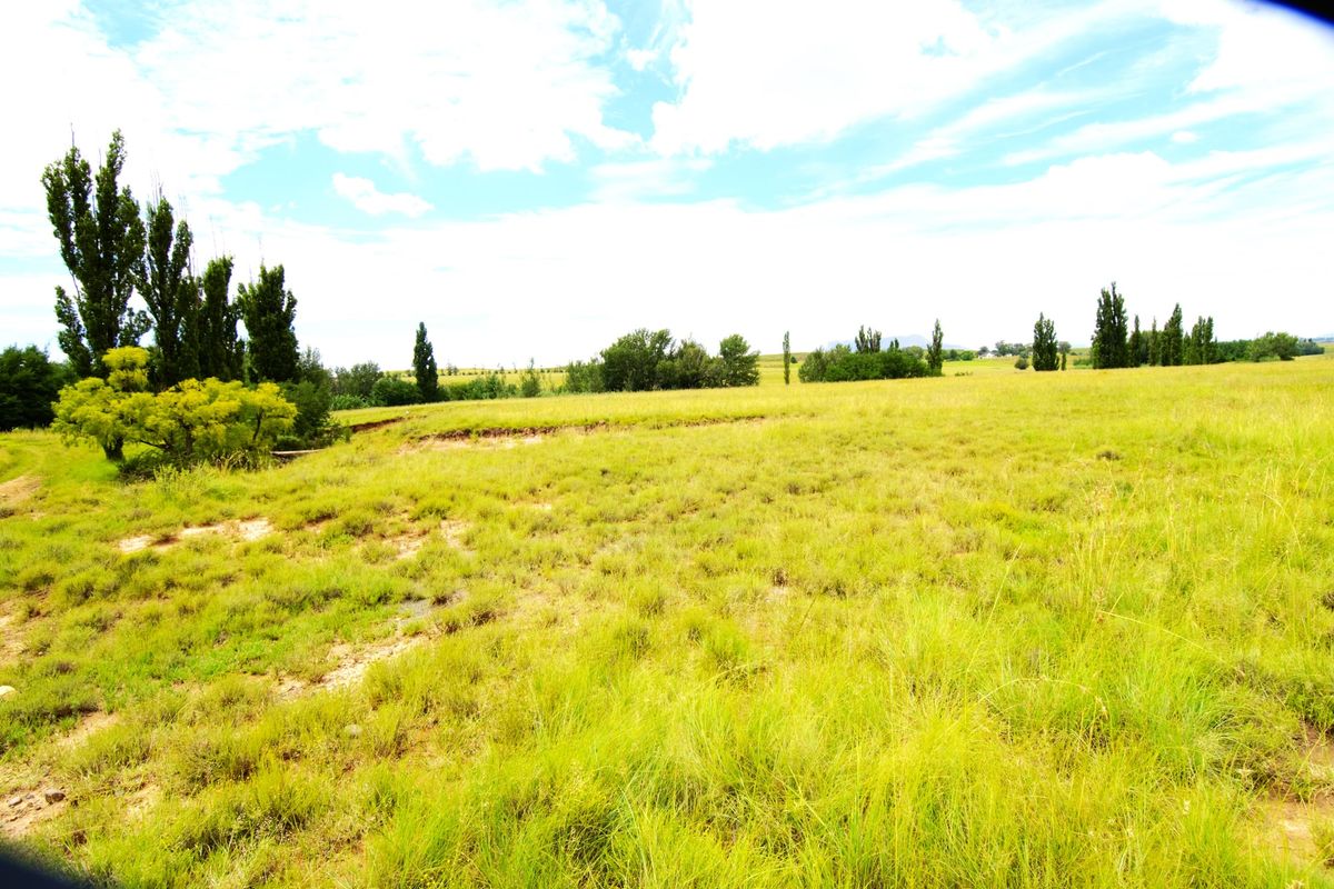 Expansive open farm land featuring natural pasture and mature trees, showcasing the rural landscape and open space of the property.