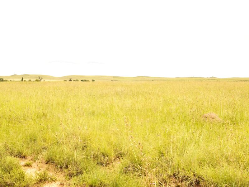 Expansive open grassland landscape view featuring natural terrain and perimeter wire fencing.