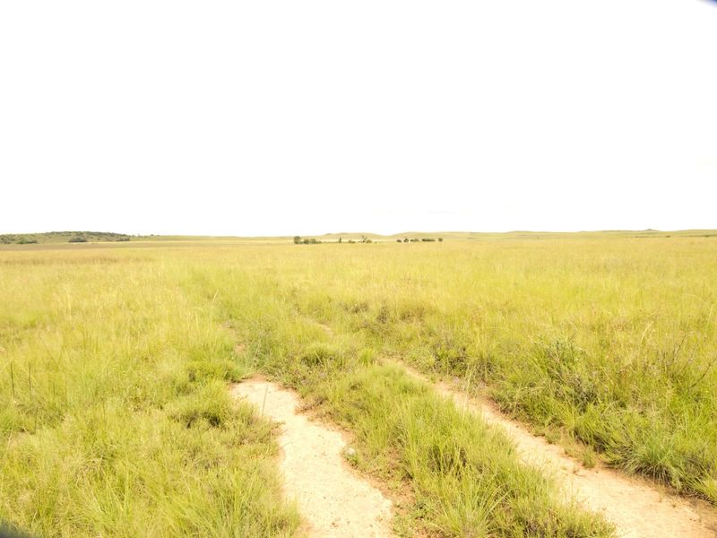 A wide-angle view of open grassland featuring a dirt track leading into the distance on this farm property.