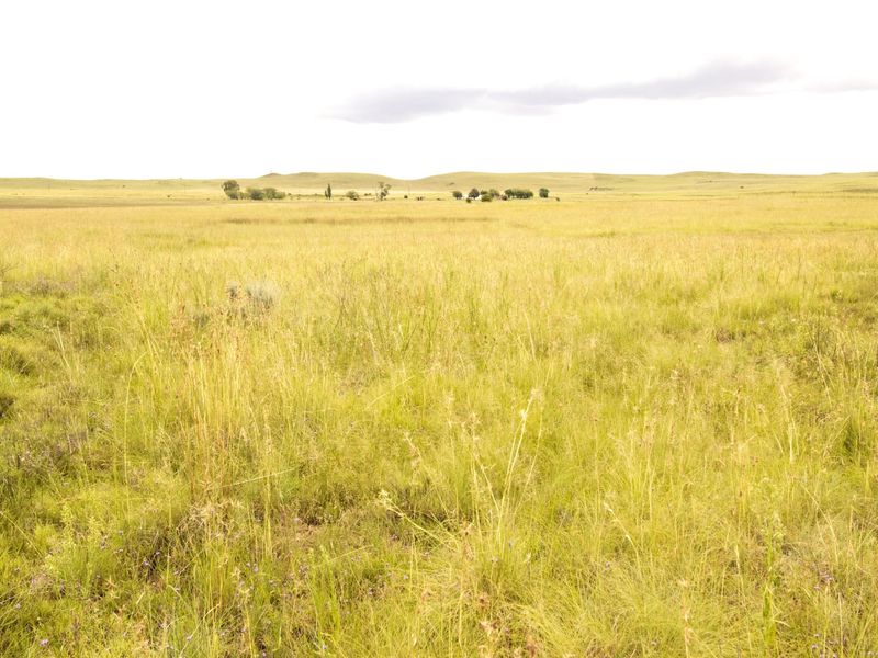 Expansive view of the open farm landscape featuring rolling grasslands and distant horizon.
