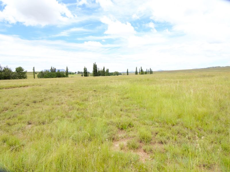 Expansive open grassland landscape view featuring natural terrain and distant tree lines on a farm property.