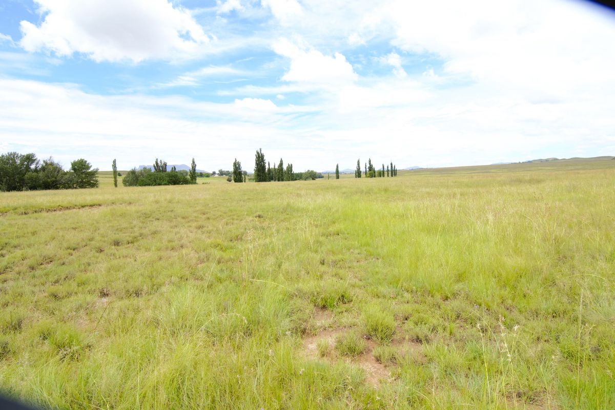 Expansive open grassland landscape view featuring natural terrain and distant tree lines on a farm property.