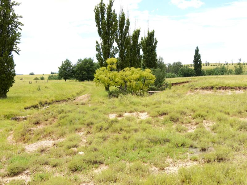 A wide view of the farm landscape featuring open grassy fields, mature trees, and a dirt track with visible soil erosion.
