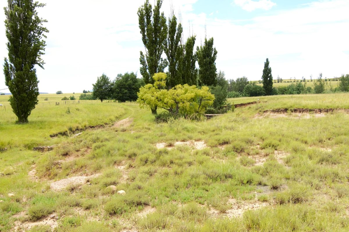 A wide view of the farm landscape featuring open grassy fields, mature trees, and a dirt track with visible soil erosion.