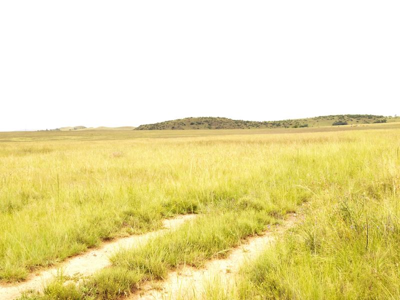 Expansive open grassland landscape with rolling hills and a dirt track, showcasing the natural terrain of the farm property.