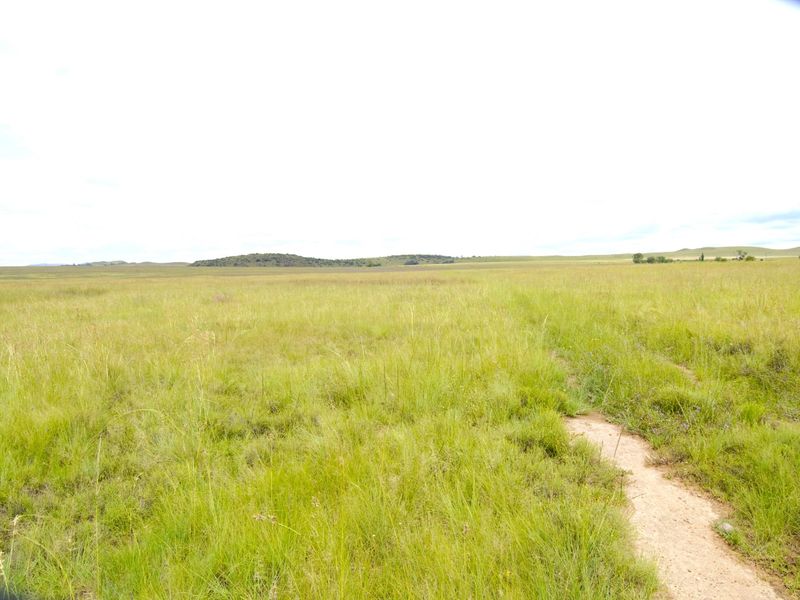 Expansive view of open grassland and natural landscape on the farm property.