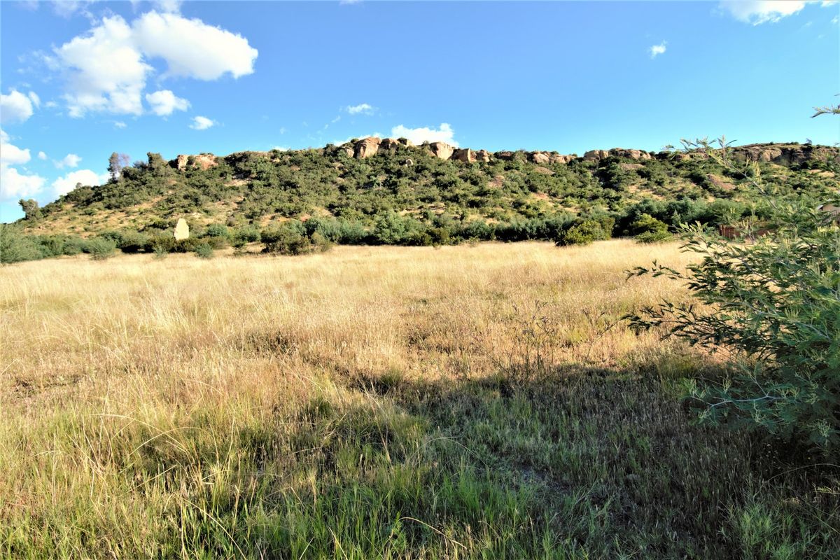 Vacant Land For Sale In Ladybrand - Photo 3