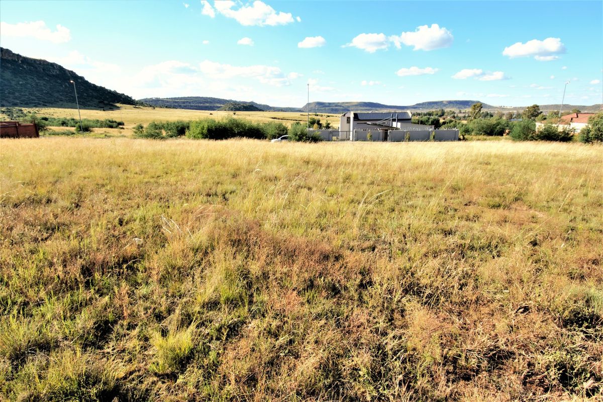 Vacant Land For Sale In Ladybrand - Photo 2