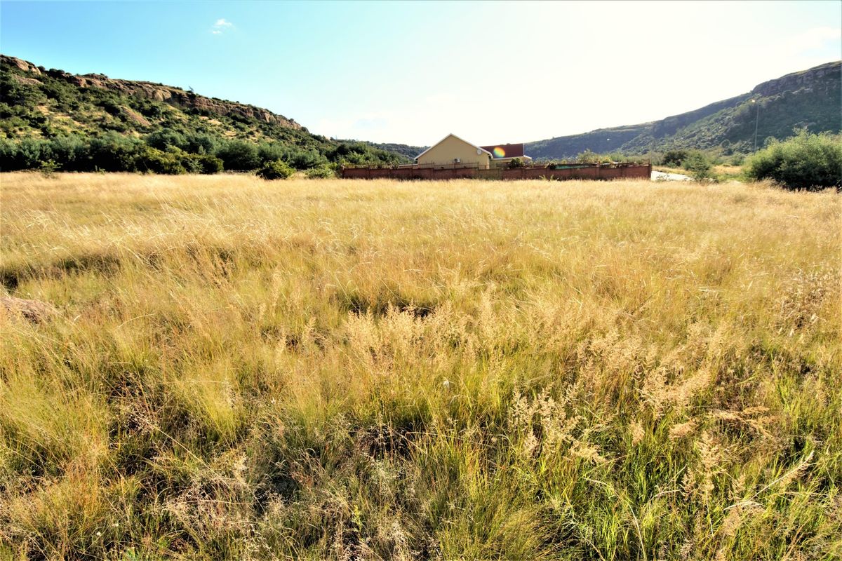Vacant Land For Sale In Ladybrand - Photo 5