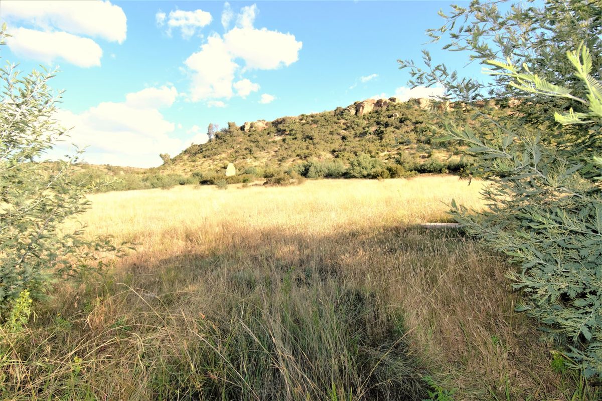 Vacant Land For Sale In Ladybrand - Photo 4