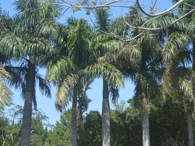 House For Sale In Port Edward - Photo 4