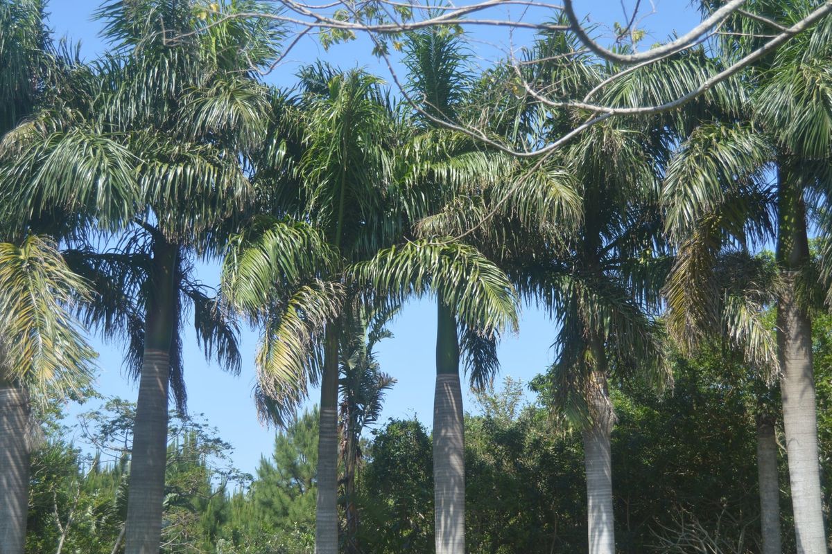 House For Sale In Port Edward - Photo 4