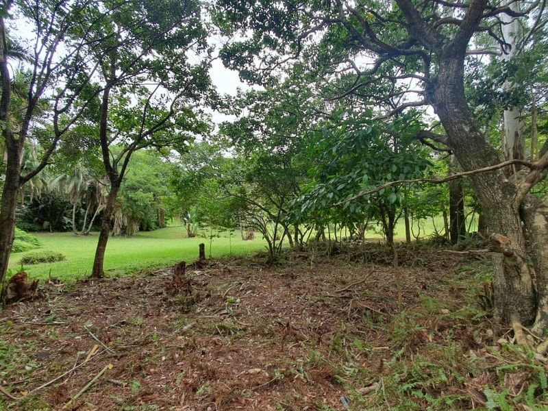 Vacant Land Sold In Southbroom - Photo 5