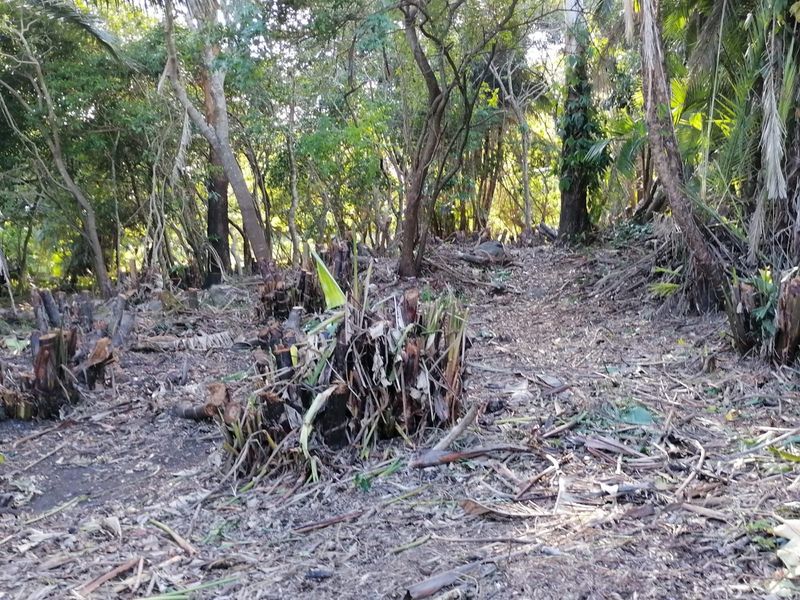 Vacant Land Sold In Southbroom - Photo 9