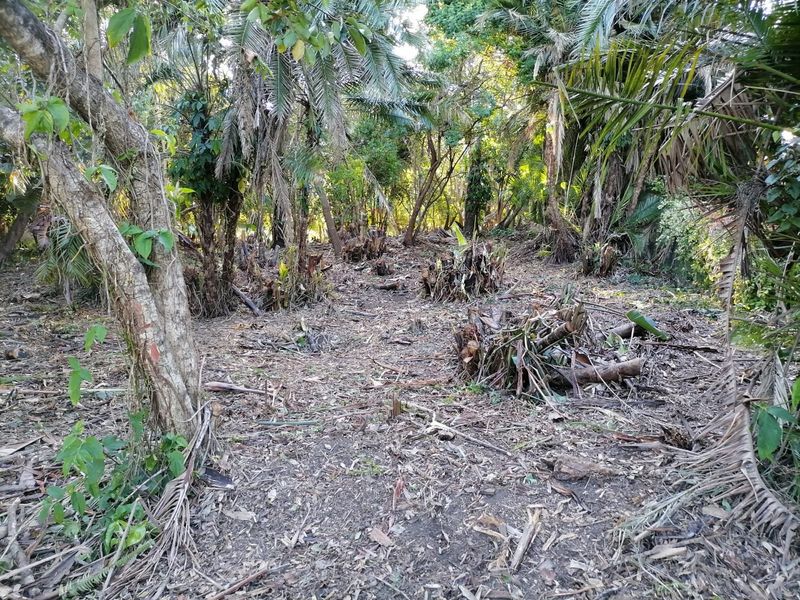 Vacant Land Sold In Southbroom - Photo 8