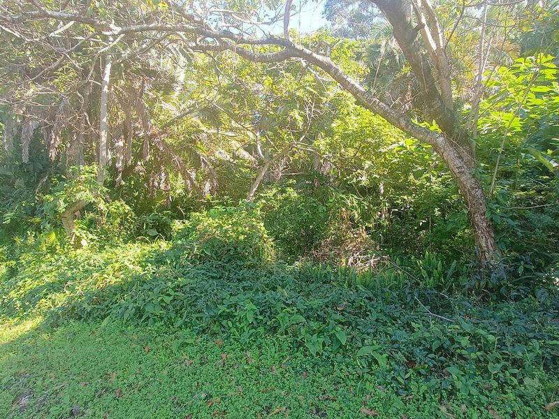 Vacant Land Sold In Southbroom - Photo 7