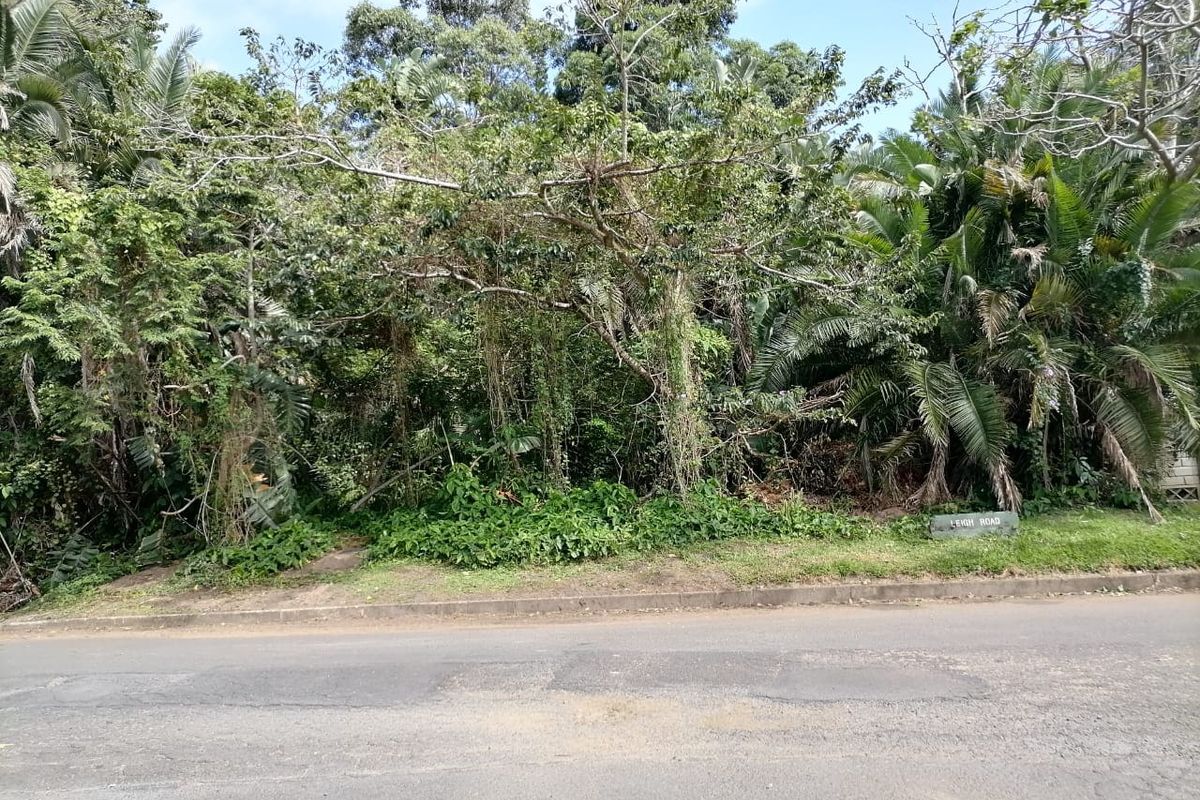 A street-level view of a vacant residential plot featuring dense mature trees and established vegetation along the roadside.