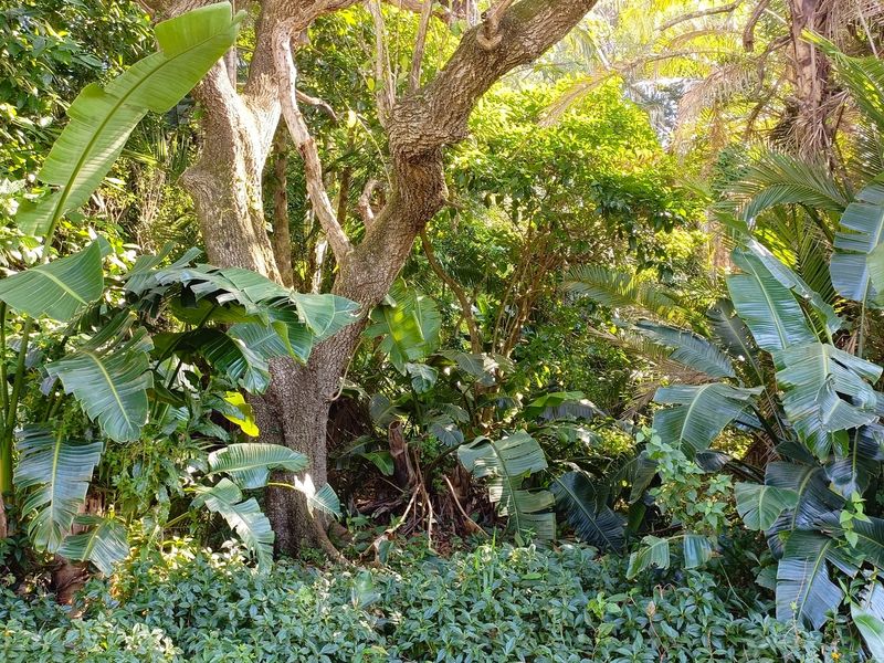 Vacant Land Sold In Southbroom - Photo 4