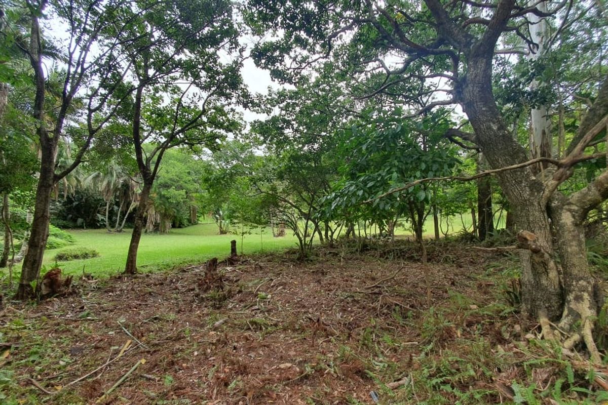 Vacant Land Sold In Southbroom - Photo 5