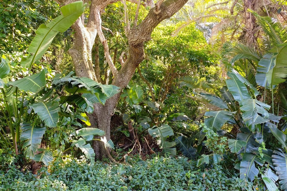 Vacant Land Sold In Southbroom - Photo 4