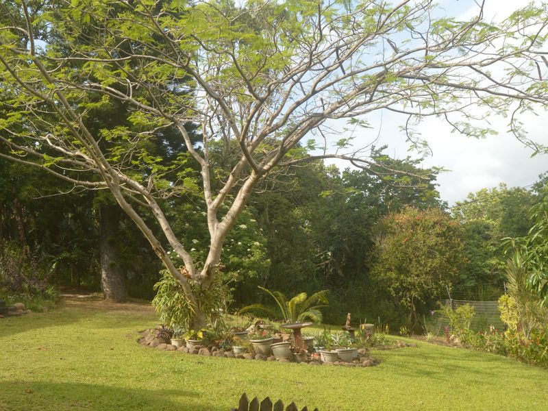 House For Sale In Trafalgar - Photo 6