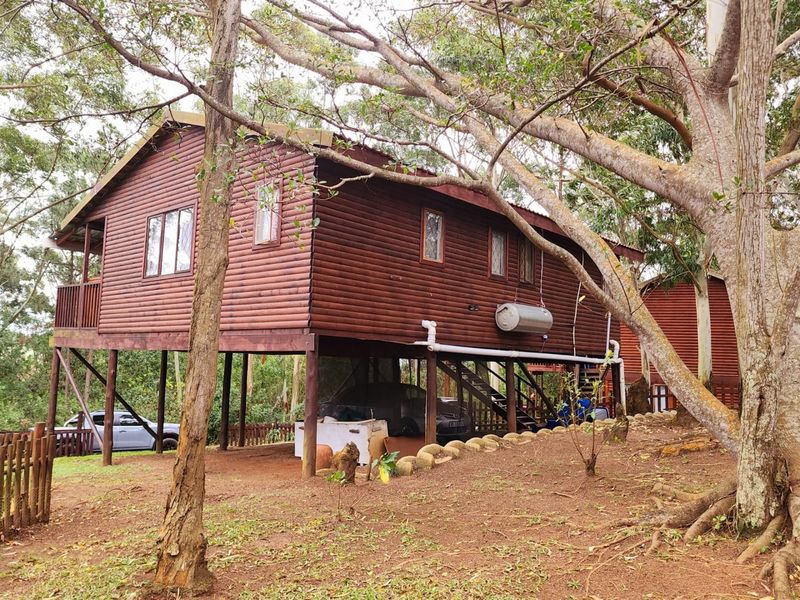 Elevated timber log townhouse featuring a stilted foundation, external geyser, and a rear balcony, set within a natural wooded environment.