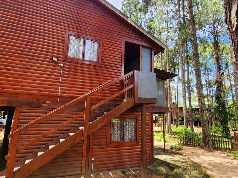 Rear view of a timber log townhouse featuring an external wooden staircase leading to an elevated deck, set within a wooded garden area.