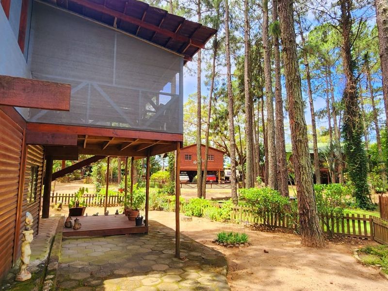 Rear view of the townhouse featuring a raised timber deck, screened balcony, paved patio area, and established garden surroundings with mature trees.