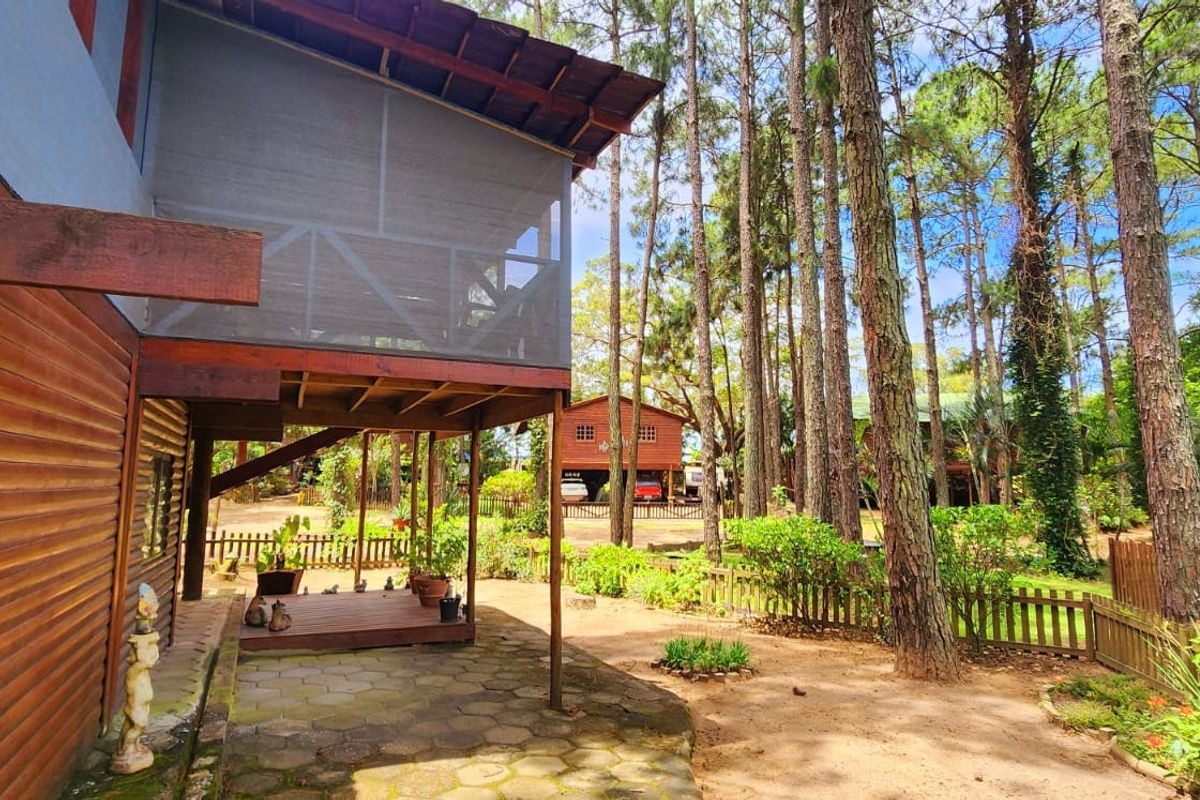 Rear view of the townhouse featuring a raised timber deck, screened balcony, paved patio area, and established garden surroundings with mature trees.