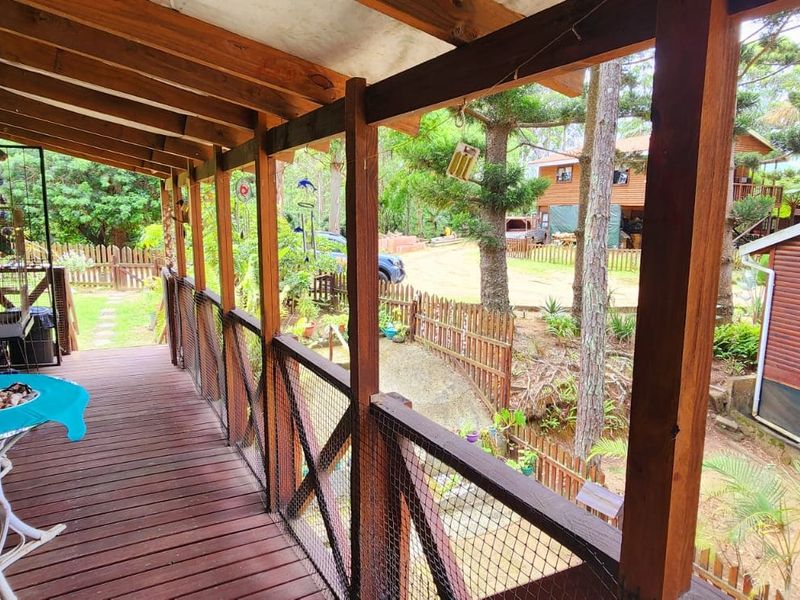 A covered timber deck patio featuring a wire mesh balustrade, overlooking a wooded garden area with adjacent timber-clad structures.