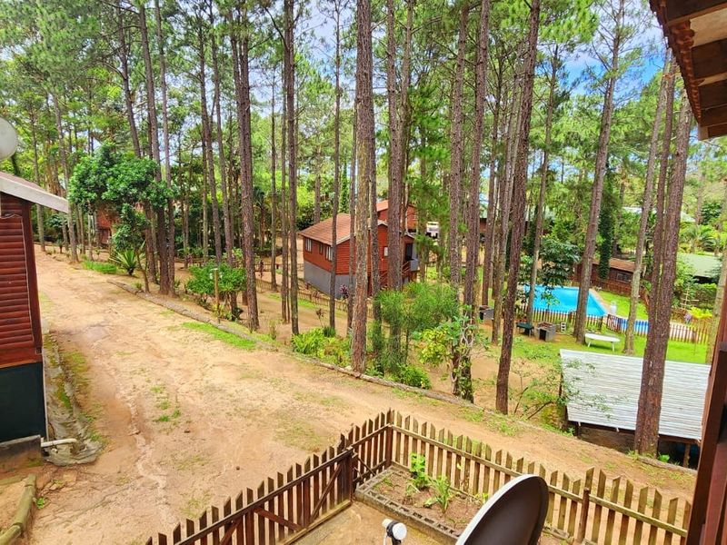 Elevated wooden balcony overlooking a wooded estate grounds with a dirt path and distant swimming pool area.