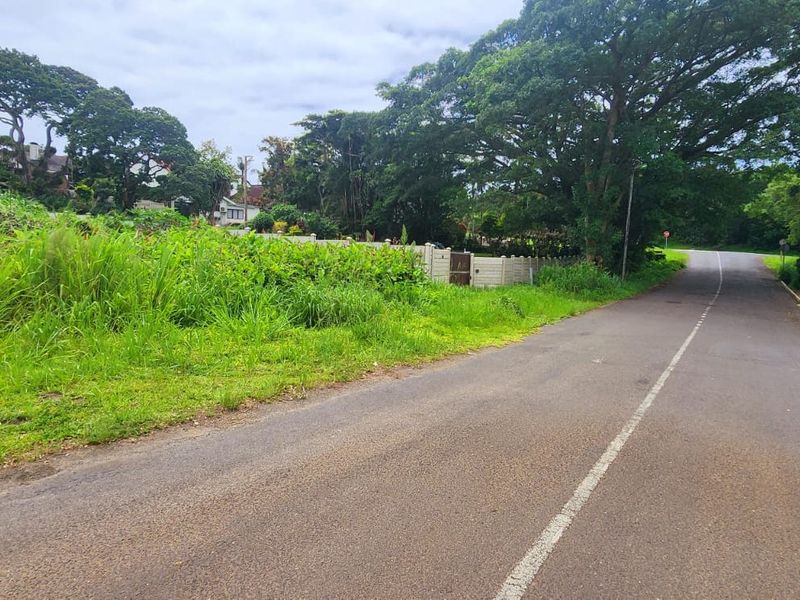 A street-level view of the residential vacant land, featuring an asphalt road, mature trees, and a precast concrete boundary wall.