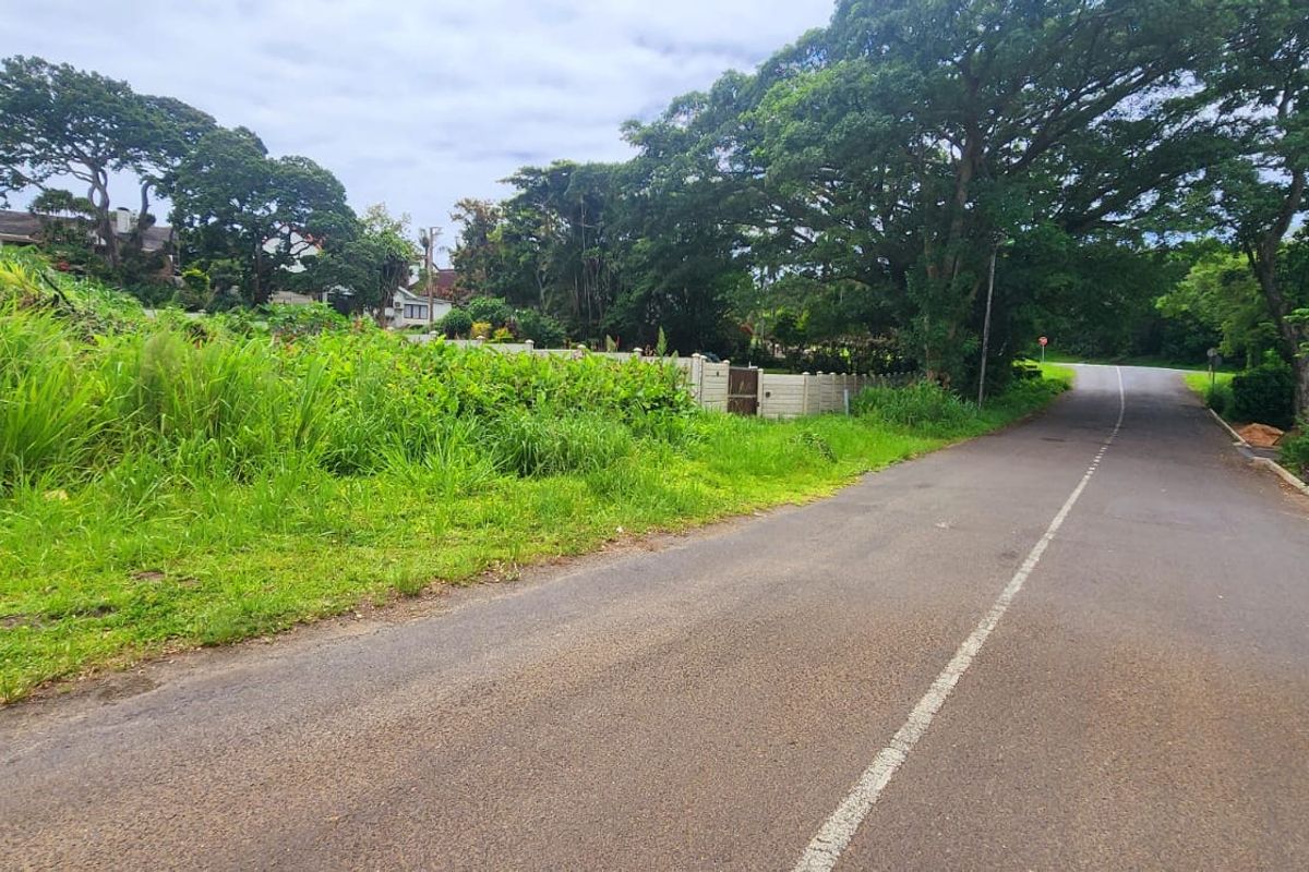 A street-level view of the residential vacant land, featuring an asphalt road, mature trees, and a precast concrete boundary wall.