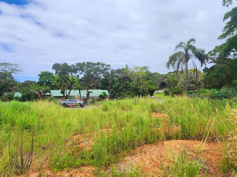 A view of a vacant residential plot featuring natural vegetation and mature trees, offering a blank canvas for future development.