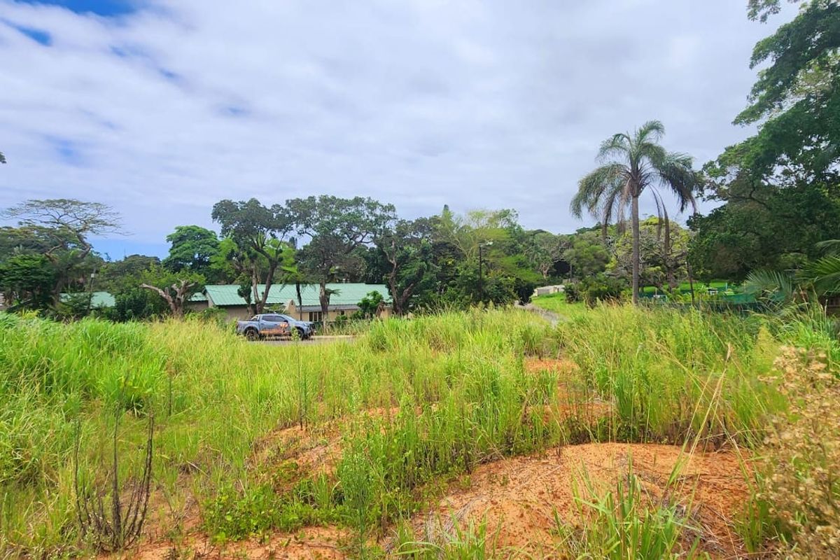 A view of a vacant residential plot featuring natural vegetation and mature trees, offering a blank canvas for future development.