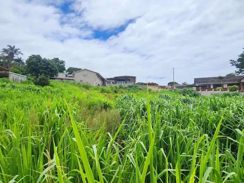 A view of a vacant residential plot featuring sloped terrain and overgrown vegetation, situated in an established neighborhood.